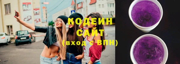 амф Вяземский