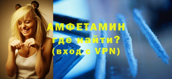 амф Вяземский