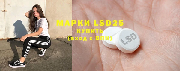амф Вяземский