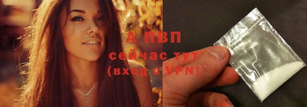 амф Вяземский