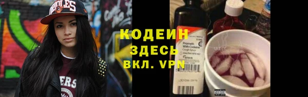 амф Вяземский