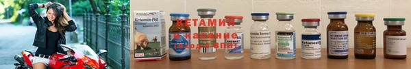 крисы Вязьма