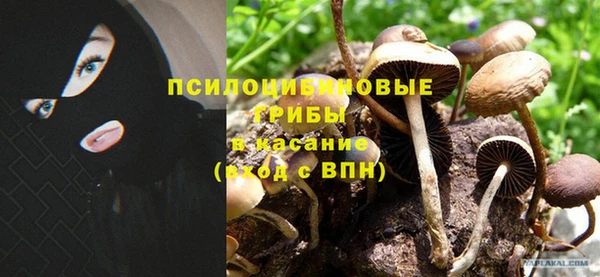 крисы Вязьма