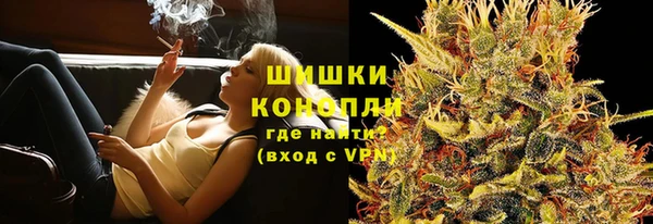 крисы Вязьма