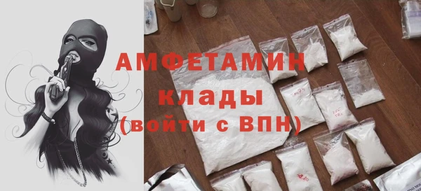 амф Вяземский