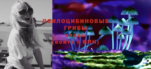 крисы Медногорск