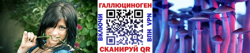нарко площадка официальный сайт  Новохопёрск  Галлюциногенные грибы GOLDEN TEACHER  KRAKEN сайт 